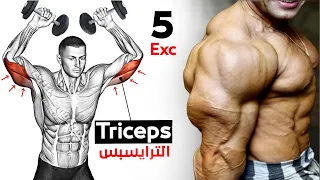 How To Build Your Triceps workout Fast (5 Effective Exercises)