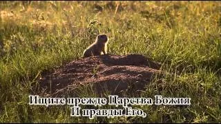 Ищите прежде Царства Божия HD