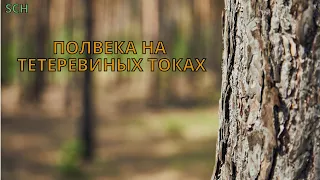 Аудио рассказ про охоту на тетерева. Полвека на тетеревиных токах