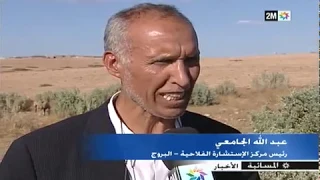 Projet de plantation d’atriplex à El Brouj, Settat