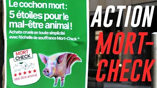 Action « Mort-check », le mal-être animal de Migros - 2021