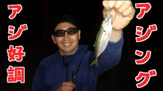 【アジング】簡単に釣れて食べて美味しいアジの釣り方（ルアー）ナイトゲーム