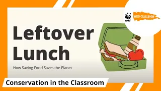 Leftover Lunch: How Saving Food Saves the Planet