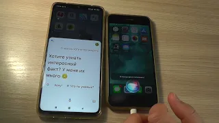 Siri пытается общаться с Google Ассистентом. Apple vs Google