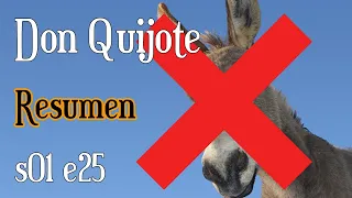 Don Quijote de La Mancha  Parte 1  Capítulo 25