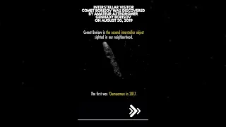 Interstellar visitor Comet Borisov (2I/Borisov) is the first observed extrasolar comet