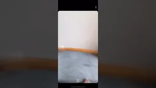 Boy finds out that there is a monster frog on his toilet