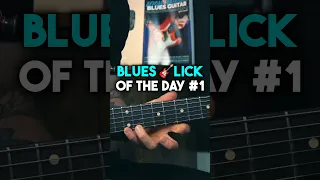 Try This Funky Blues Turnaround Lick! 🎸 #bluesguitar