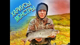 РЫБАЛКА НА ХАРИУСА НА ГОРНОЙ РЕКЕ!!! НЕВЕРОЯТНОЙ КРАСОТЫ ПРИРОДА И ГИГАНТСКАЯ РЫБА НА СПИННИГ!!!