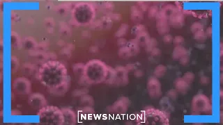 How can your genes influence how COVID-19 affects your body? | NewsNation Live