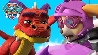 Rescue Knight Pups save Princess Sweetie from a Dragon! | PAW Patrol Episode | Cartoons for Kids