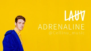 [가사해석/lyrics] Lauv - Adrenaline