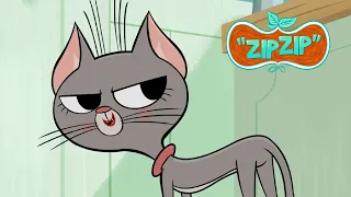 I'm not a grandma! | Zip Zip | 3 hours COMPILATION - Season 1 | Cartoon for kids