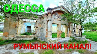 Одесса. Румынский канал. Поля орошения. Фильтрации. Кабаны. Рыбалка. Хаджибейский лиман. #зоотроп