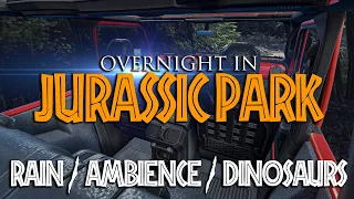 Overnight in Jurassic Park  [12 HOURS] - Rain, Ambience, Dinosaurs