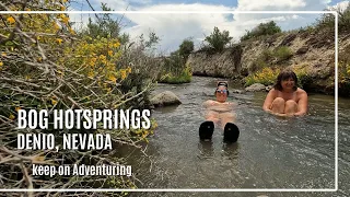 Bog Hot Springs - Nevada