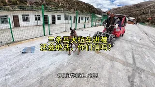 进藏方式你都见过几个，评论区见？