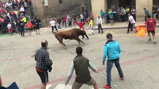 salida toro ensogado.Lodosa