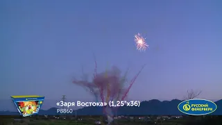 P8860 Заря Востока