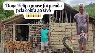 ELES MORAM NESSE PARAÍSO, DONA FELIPA QUASE QUE FOI PICADA POR UMA COBRA BEM NA HORA DA GRAVAÇÃO 😱