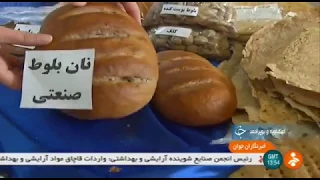 Iran Acorn picking & Traditional Acorn breads, Kohgiluyeh & Boyer-Ahmad province نان سنتي بلوط