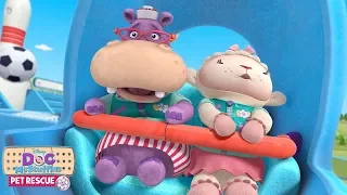 Kitty Go Round | Doc McStuffins Pet Rescue | Disney Junior