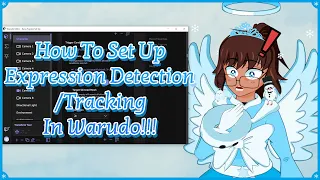 How To Set Up Expression Detection/Tracking In Warudo!!!