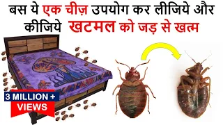 एक ही बार में जड़ से ख़त्म करे खटमल को इस अचूक उपाय से  How To Get Rid of Bed Bugs -bed bugs खटमल