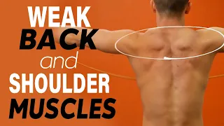 Target Weak Back Muscles With The Band Pull Apart Exercise - Tutorial