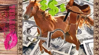 How To Make Money TRAINING HORSES!