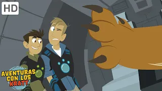 Aventuras con los Kratt | Caracal-Minton | Episodio Completo | Temporada 1