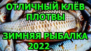 Зимняя рыбалка 2024 на мормышку, рыбалка зимой со льда, ловля плотвы зимой #5