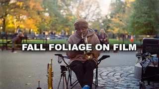 fall colors on film -- Central Park NYC with Mamiya C330