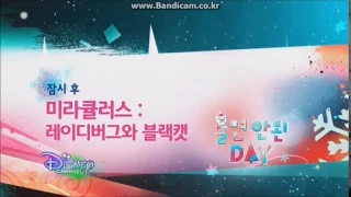 Next Bumper | Miraculous: Tales of Ladybug & Cat Noir | Better Not Cry Day | Disney Channel Korea