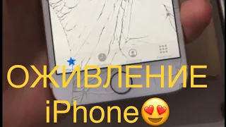 Оживление Айфона/ Замена Стекла На Айфоне / iPhone repair/ #iphone #apple #спб #ремонтайфон #айфон