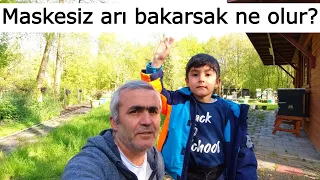 7 yaşındaki oğlumla  maskesiz arı bakımı