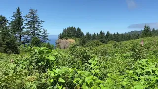 Elk Flats Trail To Short Sand Beach