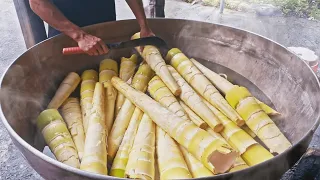 Harvesting Giant Bamboo Shoots Master, Dried Bamboo Shoots Making / 巨大麻竹筍採收技巧, 筍乾製作 / 就柿好吃