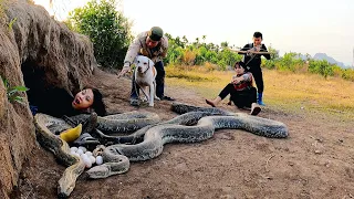 3 Brave Hunters With Pitbull Dog Confront 3 Ferocious Giant Python To Save The Girl, Wild Hunter TV