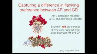 Learning Feature-Based Protein-DNA Recognition Models from SELEX Data