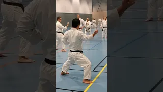 Bassai Dai Kata Practice Jka Karate #shorts #video #viral #trending #jka #jkakarate #short #training