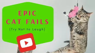 Epic Cat Fails | Try Not to Laugh | Compilation