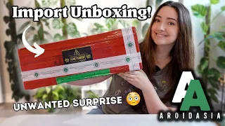 Aroid Asia Import UNBOXING! 7 Plants and Some Unwanted guests 🫣