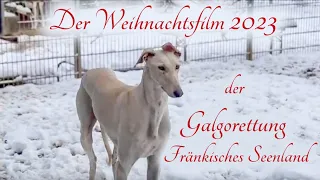 Der Weihnachtsfilm der Galgorettung Fränkisches Seenland 2023