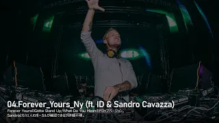 2022年にリークしたAviciiの楽曲 個人的オススメ17選