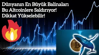 Dünyanın En Büyük Balinaları Bu Altcoinlere Saldırıyor! Dikkat Yükselebilir! | Kripto Haber.