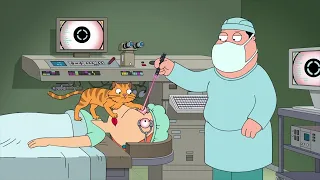 Family Guy - Take-Your-Cat- To-Work day