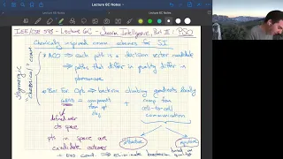 IEE/CSE 598: Lecture 6C (2020-03-08) - Classical Particle Swarm Optimization (PSO) & Its Motivations