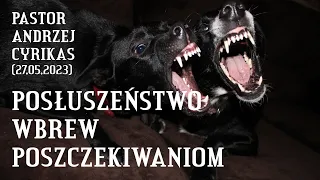 Posłuszeństwo wbrew poszczekiwaniom (27.05.2023) – Pastor Andrzej Cyrikas #chwe