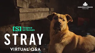 Stray | Virtual Science on Screen Q&A [HD] | Coolidge Corner Theatre